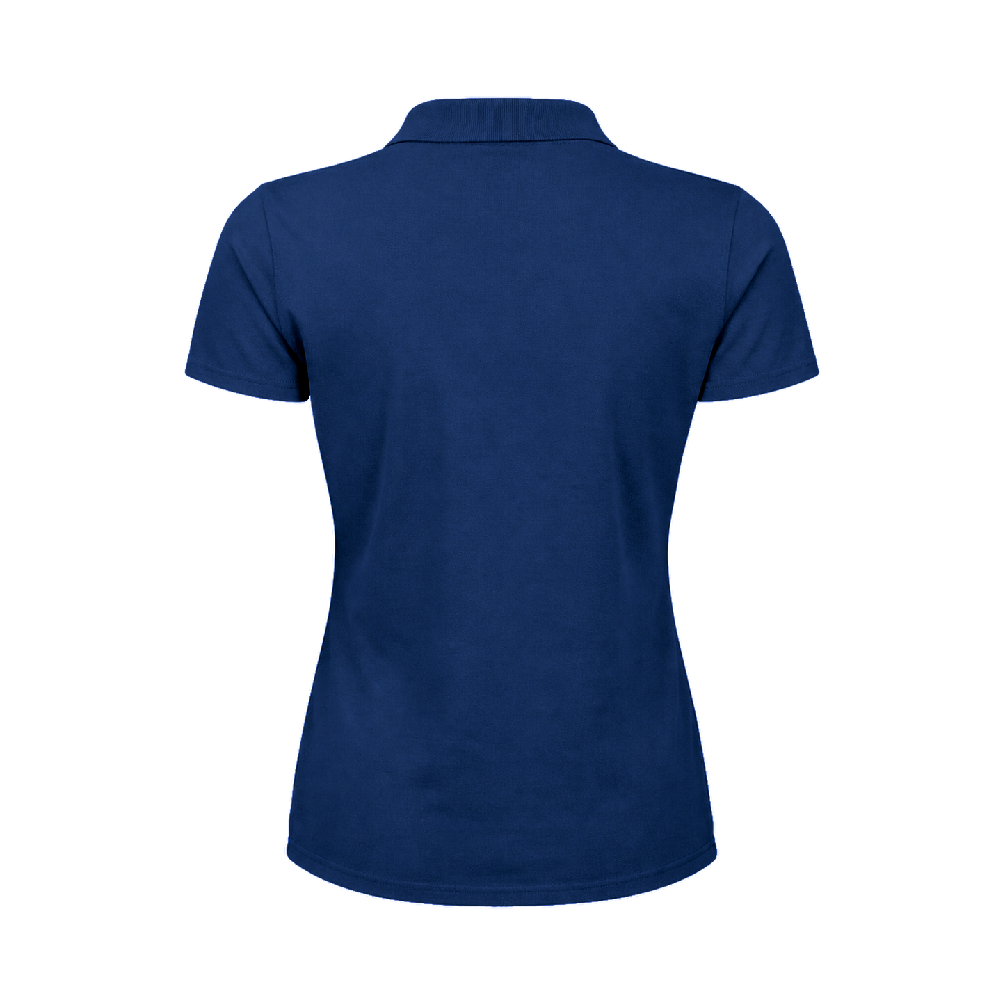 Indigo: back