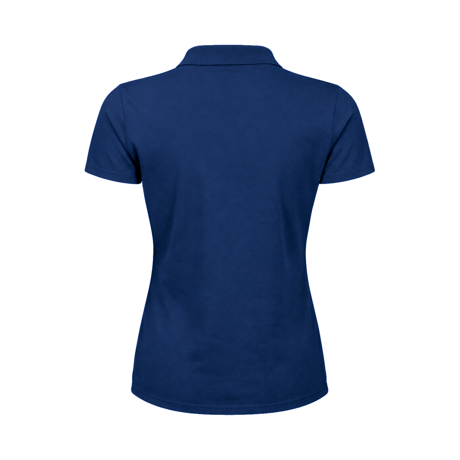 Indigo: back