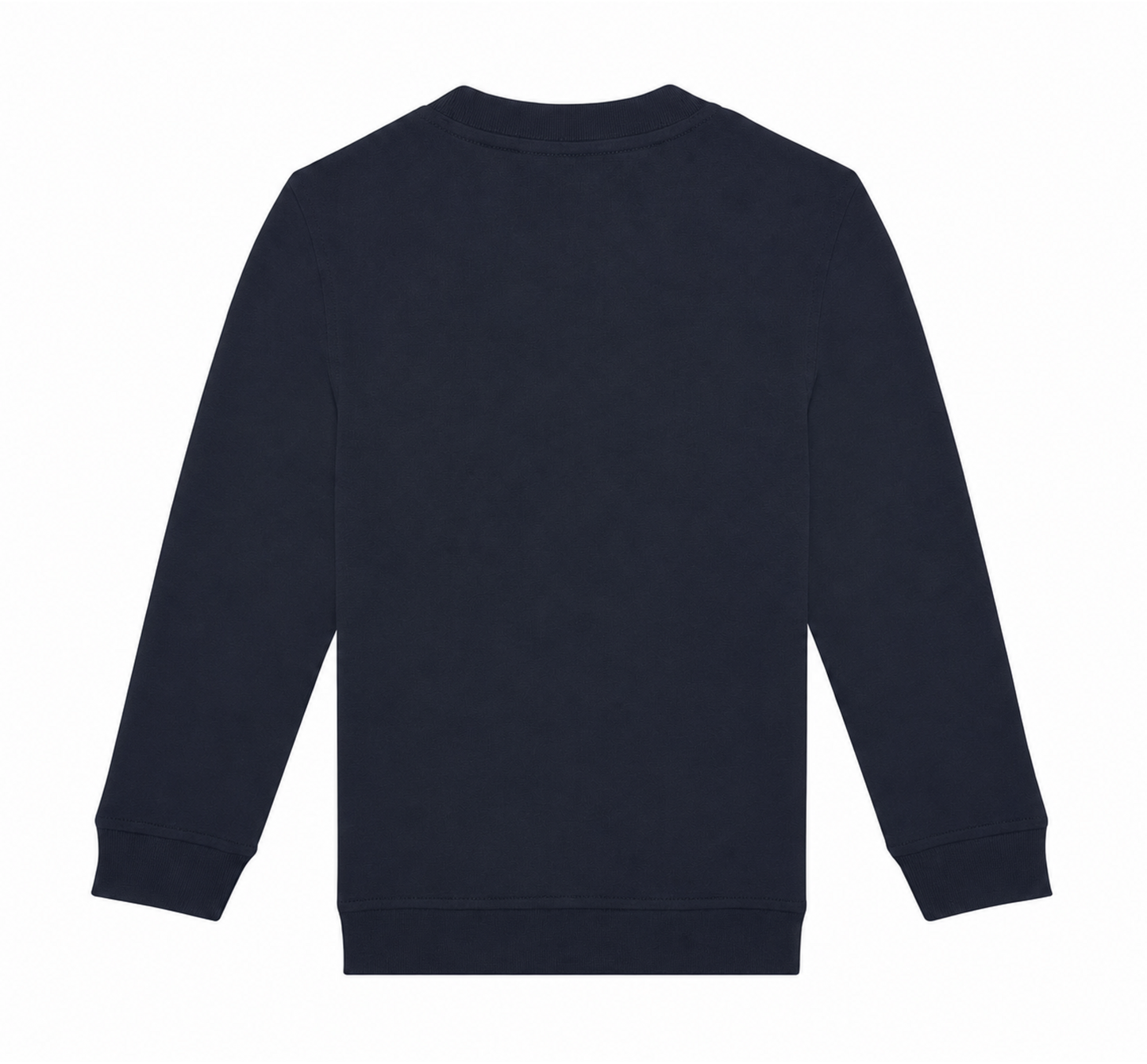 Navy: back