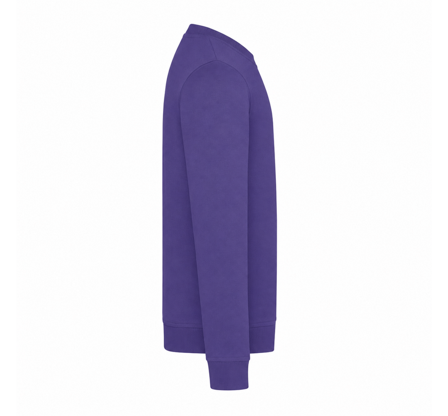 Radiant Purple: right_sleeve