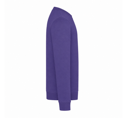 Radiant Purple: right_sleeve