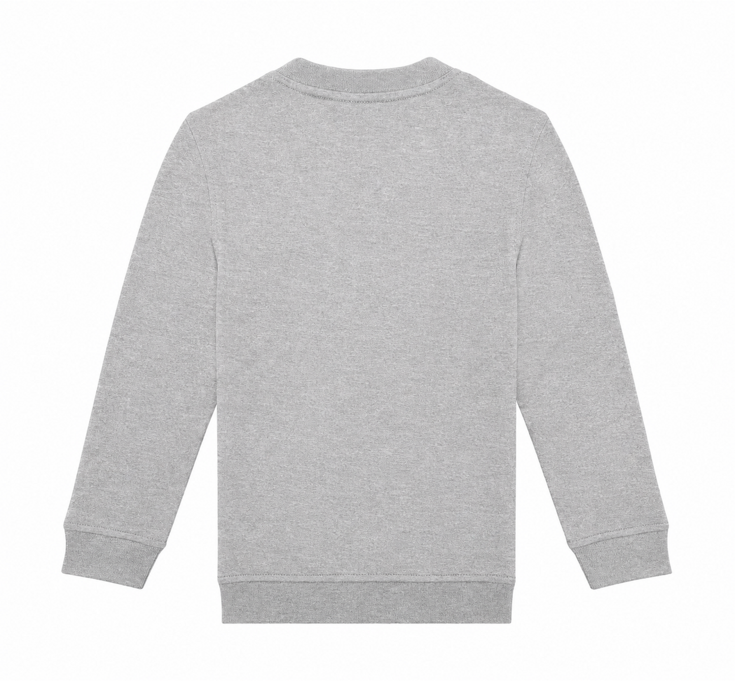Sport Grey: back