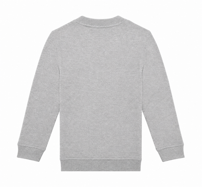 Sport Grey: back