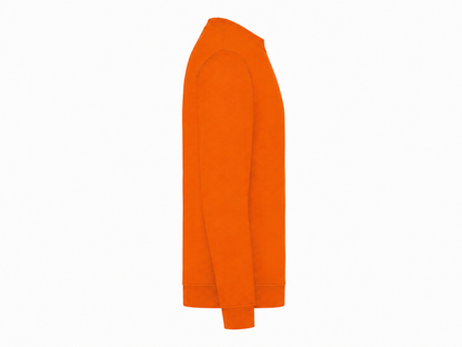 Orange: right_sleeve