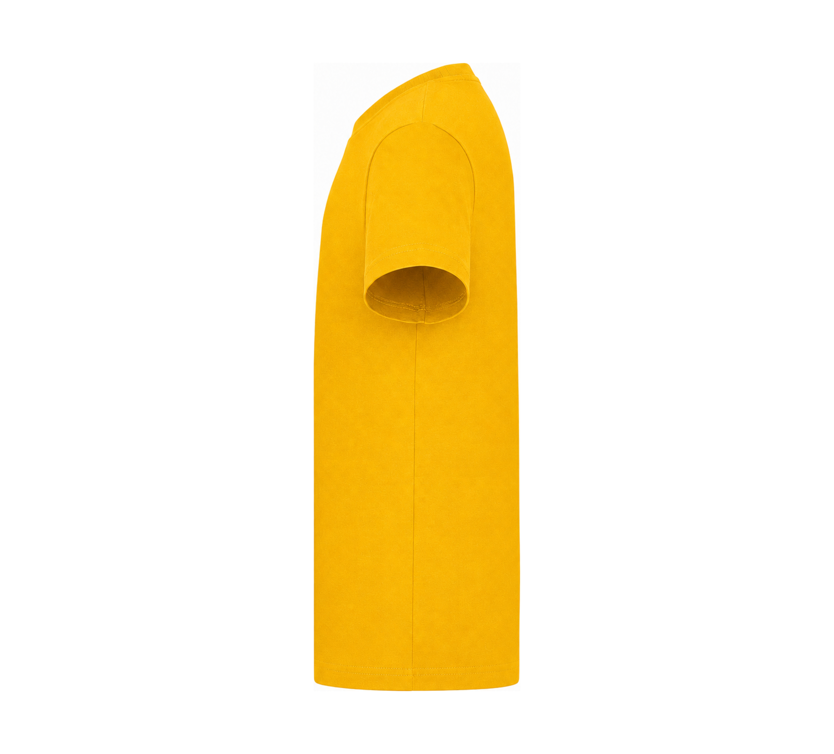Gold: left_sleeve