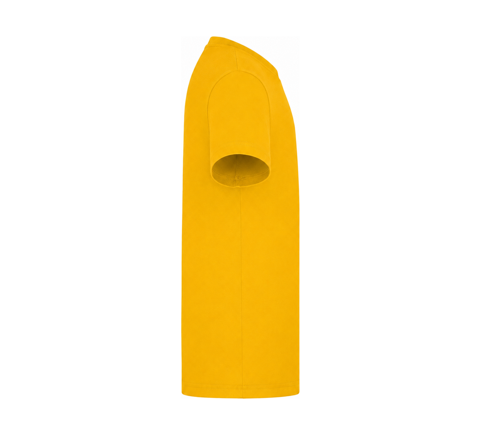 Gold: right_sleeve