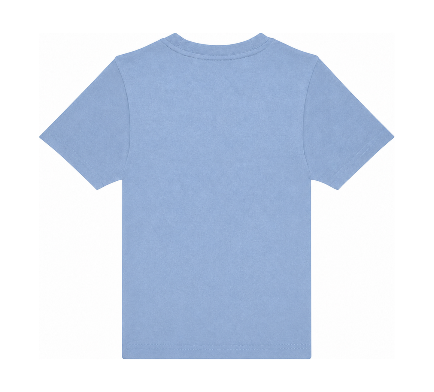 Sky Blue: back