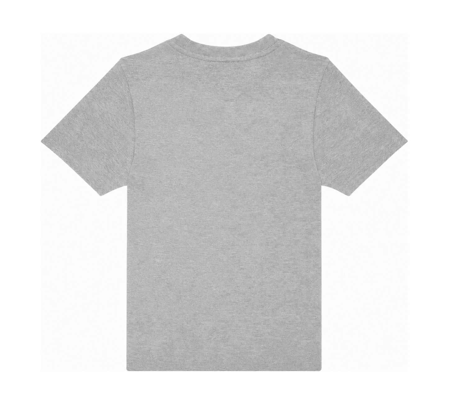 Sport Grey: back