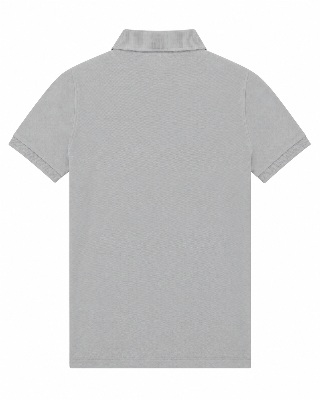 Pacific Grey: back