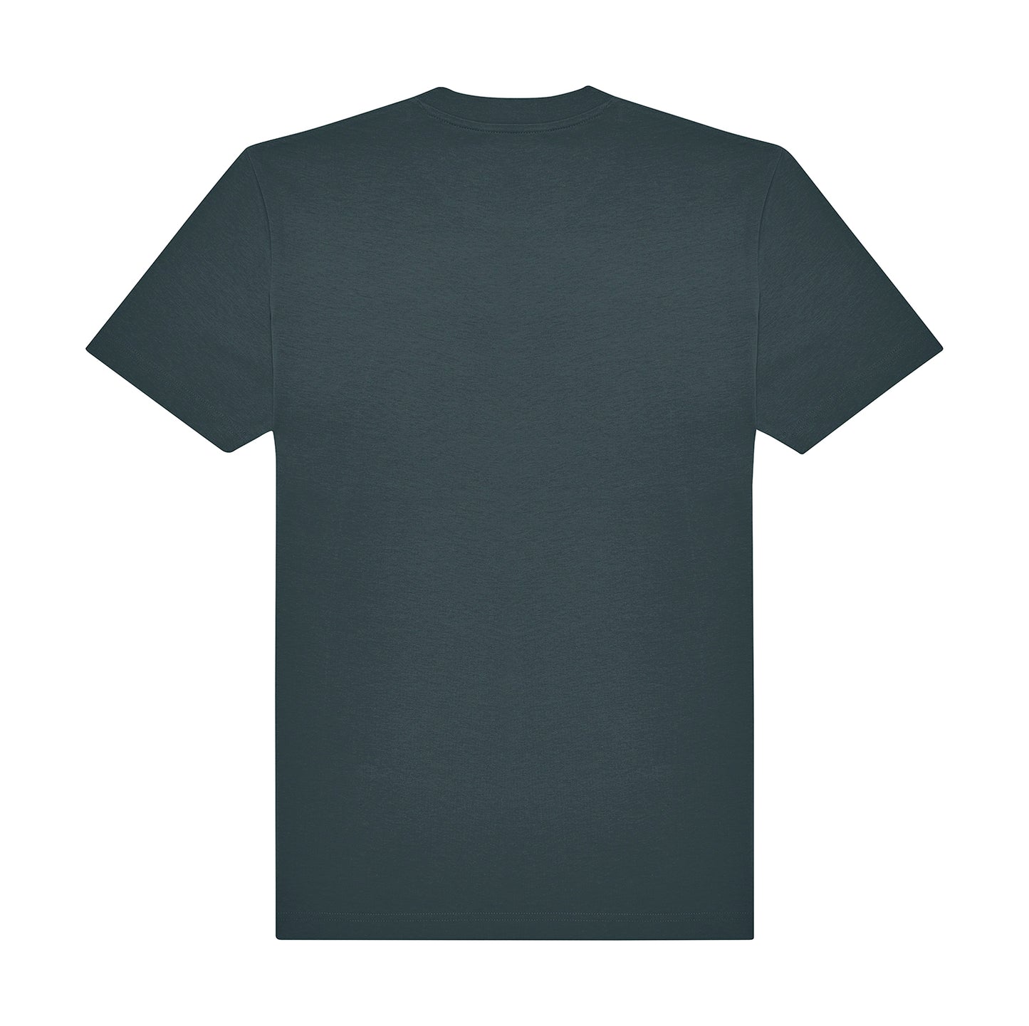 Amalfi Teal: back