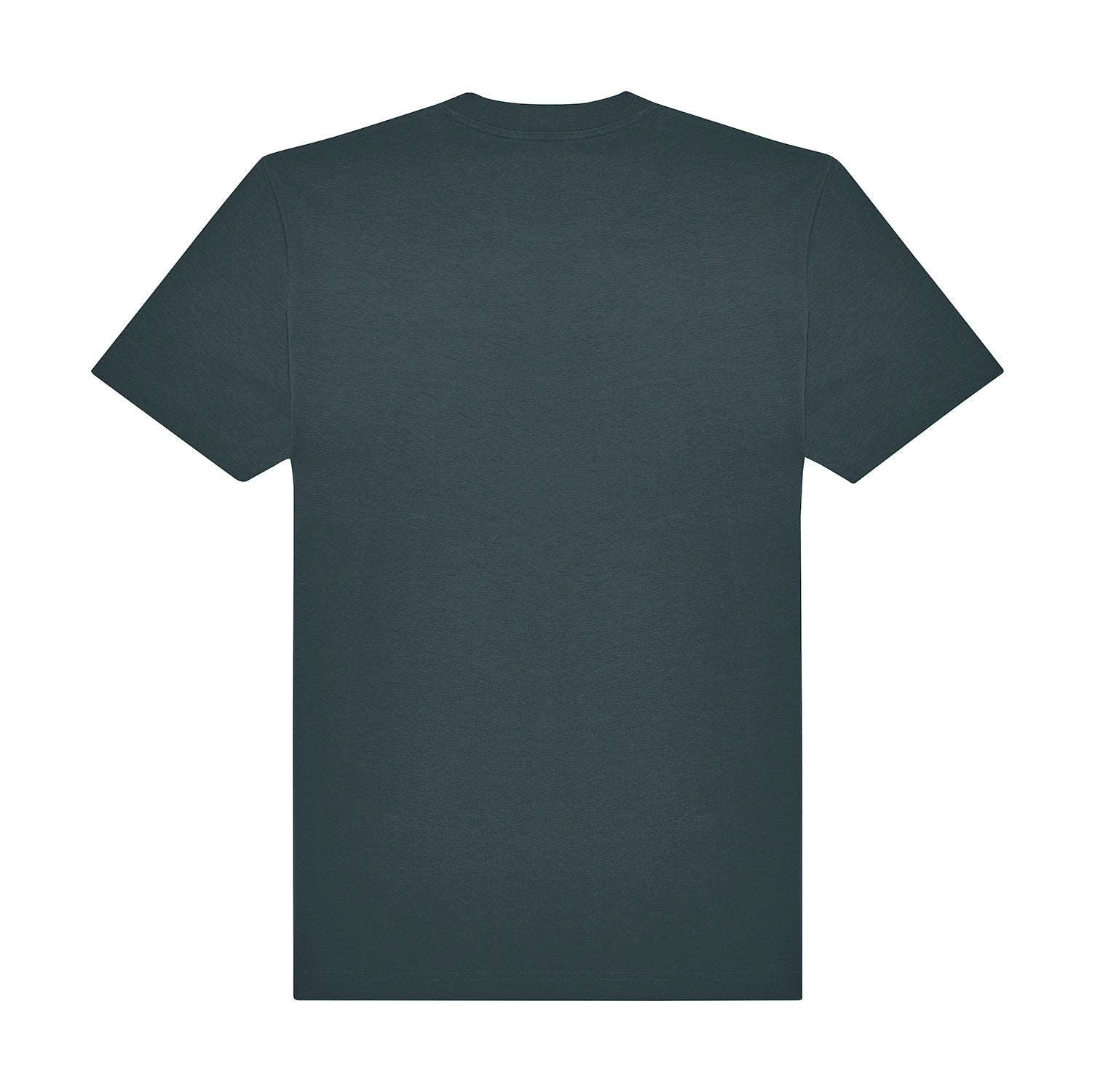 Amalfi Teal: back