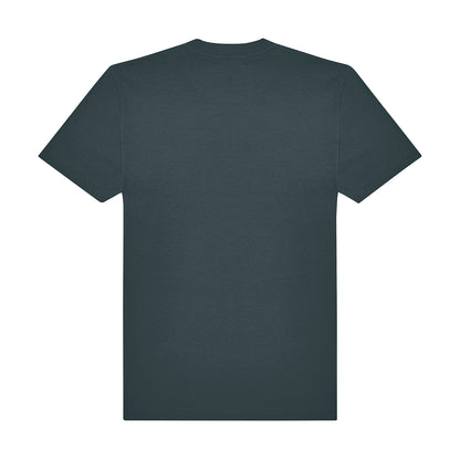 Amalfi Teal: back